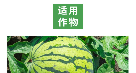 万稼能13元素(瓶装)-乾农 万稼能13元素(瓶装)-乾农