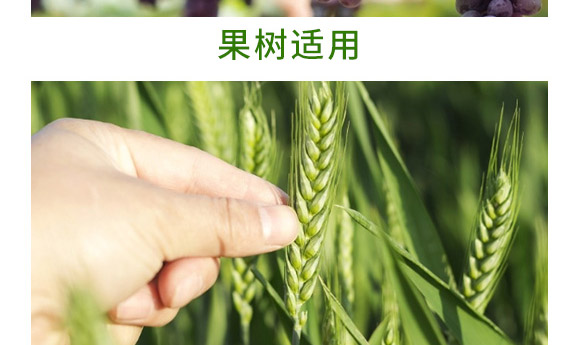 万稼能13元素(瓶装)-乾农 万稼能13元素(瓶装)-乾农