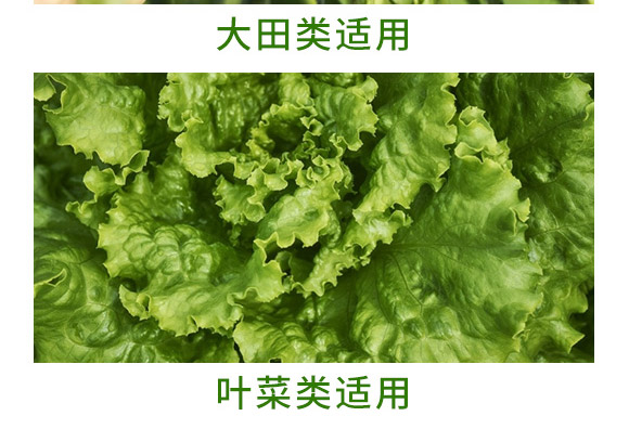 万稼能13元素(瓶装)-乾农 万稼能13元素(瓶装)-乾农