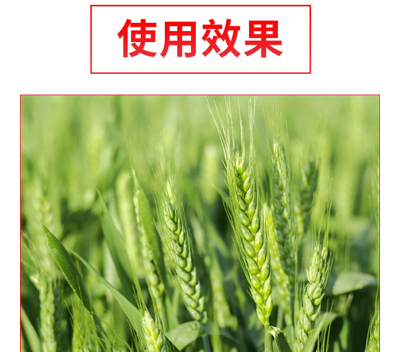 矿源黄腐酸生根肥-黑金旺-复宝作物 矿源黄腐酸生根肥-黑金旺-复宝作物