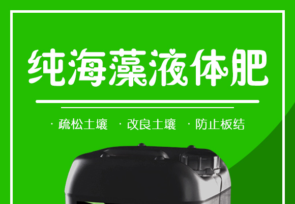 灞变笢娴蜂箣鏄熻繘鍑哄彛鏈夐檺鍏徃璇︽儏椤?_01.jpg 灞变笢娴蜂箣鏄熻繘鍑哄彛鏈夐檺鍏徃璇︽儏椤?_01.jpg
