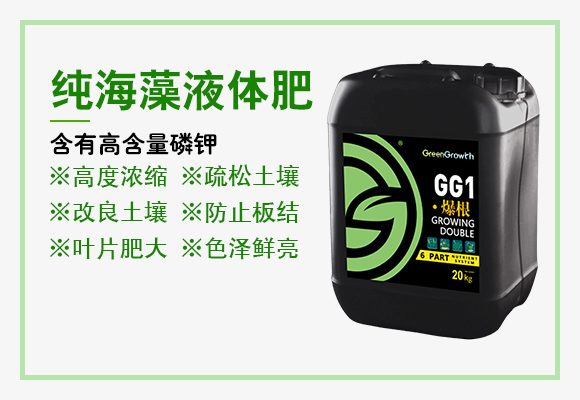 灞变笢娴蜂箣鏄熻繘鍑哄彛鏈夐檺鍏徃璇︽儏椤?_03.jpg 灞变笢娴蜂箣鏄熻繘鍑哄彛鏈夐檺鍏徃璇︽儏椤?_03.jpg