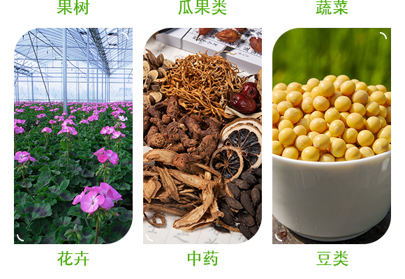 灞变笢娴蜂箣鏄熻繘鍑哄彛鏈夐檺鍏徃璇︽儏椤?_05.jpg 灞变笢娴蜂箣鏄熻繘鍑哄彛鏈夐檺鍏徃璇︽儏椤?_05.jpg