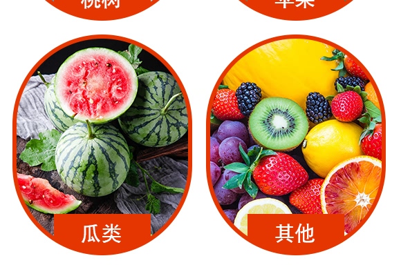 10%烯啶虫胺水剂-赶虱猫-诺尔生物 10%烯啶虫胺水剂-赶虱猫-诺尔生物
