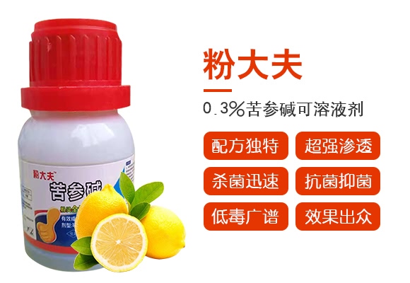 0.3%苦参碱可溶液剂-粉大夫-诺尔生物 0.3%苦参碱可溶液剂-粉大夫-诺尔生物