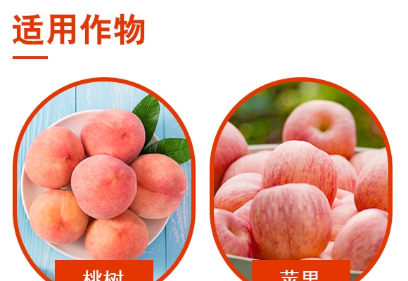 0.3%苦参碱可溶液剂-粉大夫-诺尔生物 0.3%苦参碱可溶液剂-粉大夫-诺尔生物
