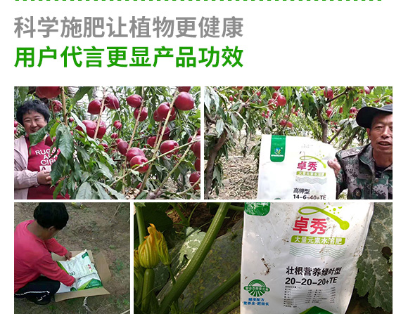 瀹濅赴涓囬殕鑲ヤ笟鏈夐檺鍏徃(楂橀捑鑶ㄦ灉)_10.jpg 瀹濅赴涓囬殕鑲ヤ笟鏈夐檺鍏徃(楂橀捑鑶ㄦ灉)_10.jpg