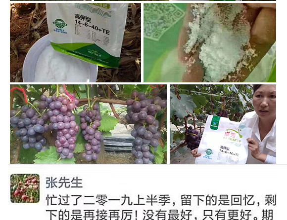 瀹濅赴涓囬殕鑲ヤ笟鏈夐檺鍏徃(楂橀捑鑶ㄦ灉)_11.jpg 瀹濅赴涓囬殕鑲ヤ笟鏈夐檺鍏徃(楂橀捑鑶ㄦ灉)_11.jpg