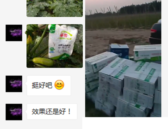 瀹濅赴涓囬殕鑲ヤ笟鏈夐檺鍏徃(楂橀捑鑶ㄦ灉)_13.jpg 瀹濅赴涓囬殕鑲ヤ笟鏈夐檺鍏徃(楂橀捑鑶ㄦ灉)_13.jpg