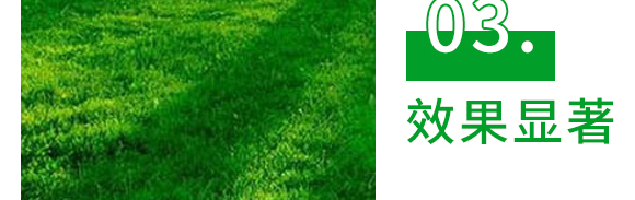 5g噁霉灵水分散粒剂-土绅-长双农药 5g噁霉灵水分散粒剂-土绅-长双农药