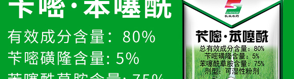 80%סʪԷۼ-˫-˫ũҩ