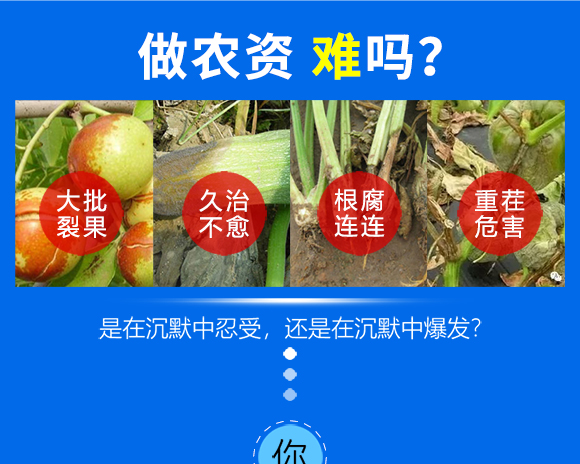 磷酸二氢钾民富通根农生物