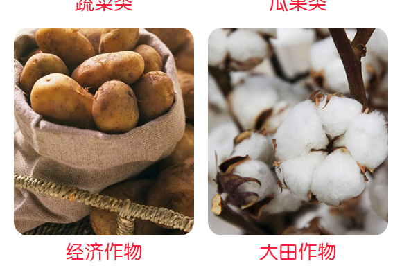 姹囧涓版嫵鎵?姹囧涓癬06.jpg 姹囧涓版嫵鎵?姹囧涓癬06.jpg