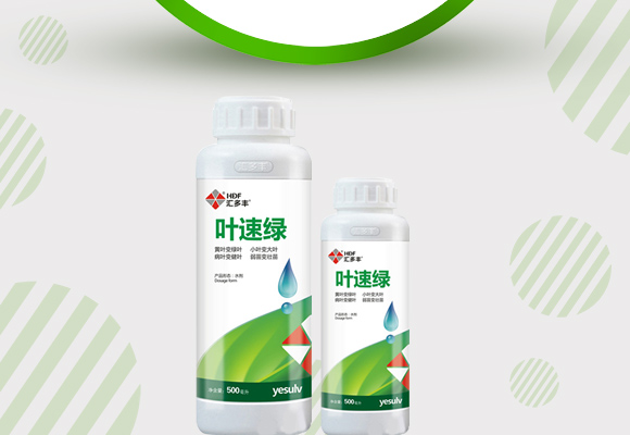 鍙堕熺豢-姹囧涓癬02.jpg 鍙堕熺豢-姹囧涓癬02.jpg