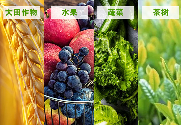 鍙堕熺豢-姹囧涓癬04.jpg 鍙堕熺豢-姹囧涓癬04.jpg