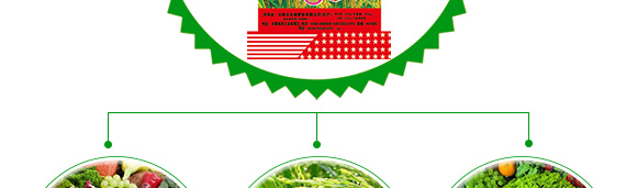 多元素配方掺混肥料20-12-18-农福康-农友福 多元素配方掺混肥料20-12-18-农福康-农友福