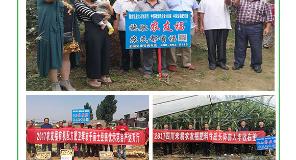 多元素配方掺混肥料20-12-18-农福康-农友福 多元素配方掺混肥料20-12-18-农福康-农友福
