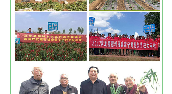 多元素配方掺混肥料20-12-18-农福康-农友福 多元素配方掺混肥料20-12-18-农福康-农友福