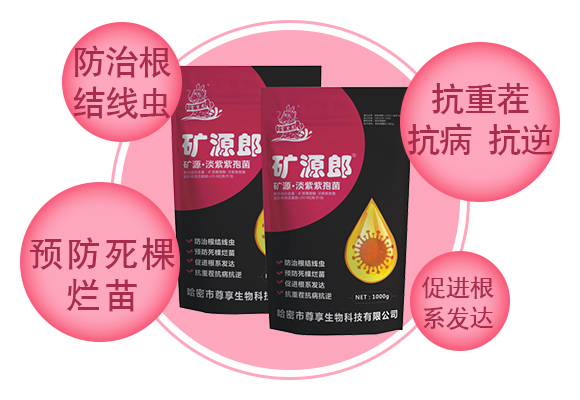 鐭挎簮路娣$传绱鑿?鐭挎簮閮巁03.jpg 鐭挎簮路娣$传绱鑿?鐭挎簮閮巁03.jpg