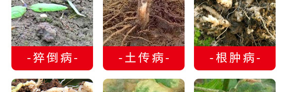 微生物菌剂(专注防治根部病害)-根本根-萨林农业 微生物菌剂(专注防治根部病害)-根本根-萨林农业