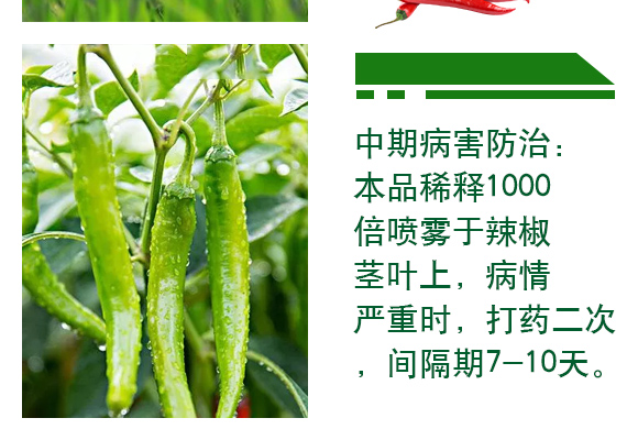 42%涓夋隘寮傛鞍灏块吀-杈f鐏礯06.jpg 42%涓夋隘寮傛鞍灏块吀-杈f鐏礯06.jpg