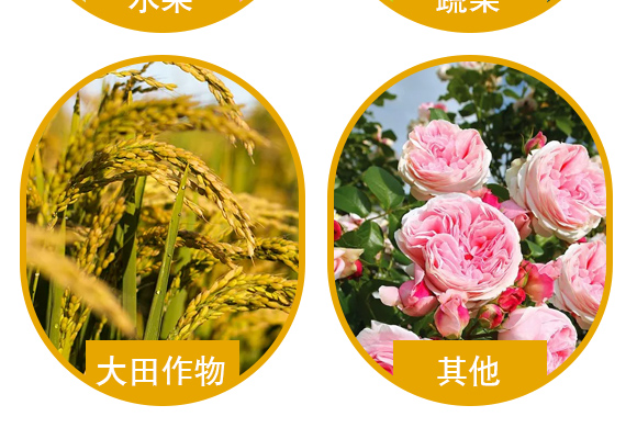 50%姘捍寮傛鞍灏块吀-鑿屾瘨娓卂05.jpg 50%姘捍寮傛鞍灏块吀-鑿屾瘨娓卂05.jpg