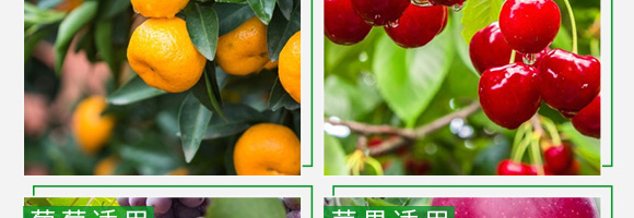 授粉精华素-康必补-禾特康 授粉精华素-康必补-禾特康