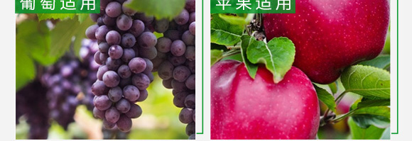 授粉精华素-康必补-禾特康 授粉精华素-康必补-禾特康