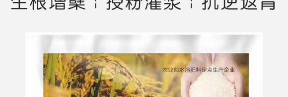 水稻粒粒丰-康必补-禾特康 水稻粒粒丰-康必补-禾特康