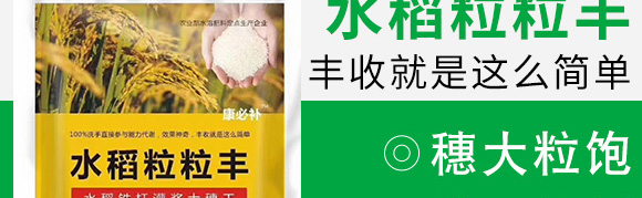 水稻粒粒丰-康必补-禾特康 水稻粒粒丰-康必补-禾特康