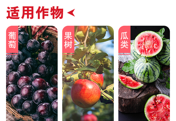 寰敓鐗╄弻鍓?浜胯埅_04.jpg 寰敓鐗╄弻鍓?浜胯埅_04.jpg