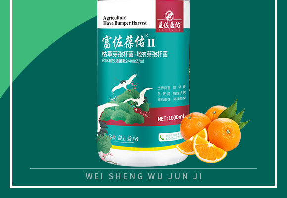 瀵屼綈钁嗕綉II-鐩婁綈鐩婁綉_02.jpg 瀵屼綈钁嗕綉II-鐩婁綈鐩婁綉_02.jpg