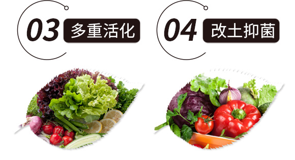矿源黄腐酸钾-智宸 矿源黄腐酸钾-智宸
