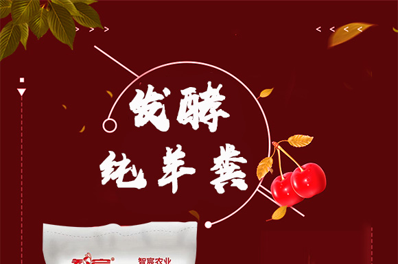 鍙戦叺绾緤绮?鏅哄_01.jpg 鍙戦叺绾緤绮?鏅哄_01.jpg