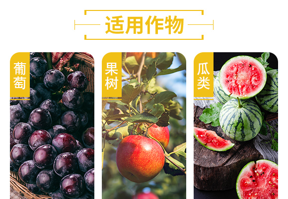 鐭挎簮榛勮厫閰搁捑-娌冪洓鑹搧_05.jpg 鐭挎簮榛勮厫閰搁捑-娌冪洓鑹搧_05.jpg