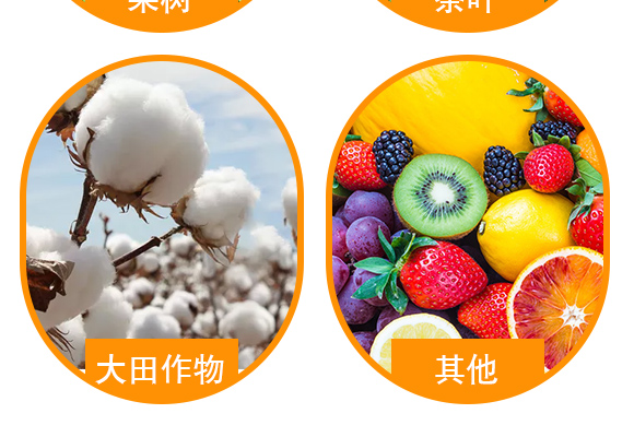 澶氬井鐭跨墿璐ㄥ厓绱?鑿?榛戦噾_05.jpg 澶氬井鐭跨墿璐ㄥ厓绱?鑿?榛戦噾_05.jpg