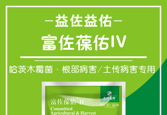 鍝堣尐鏈ㄩ湁鑿?瀵屼綈钁嗕綉IV_01.jpg 鍝堣尐鏈ㄩ湁鑿?瀵屼綈钁嗕綉IV_01.jpg
