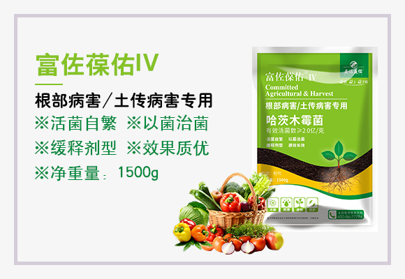 鍝堣尐鏈ㄩ湁鑿?瀵屼綈钁嗕綉IV_03.jpg 鍝堣尐鏈ㄩ湁鑿?瀵屼綈钁嗕綉IV_03.jpg