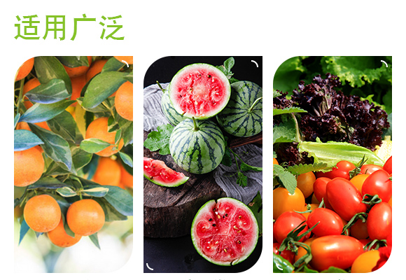 鍝堣尐鏈ㄩ湁鑿?瀵屼綈钁嗕綉IV_04.jpg 鍝堣尐鏈ㄩ湁鑿?瀵屼綈钁嗕綉IV_04.jpg