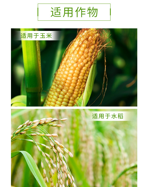 硅钙钾镁中微量元素肥-金余_04.jpg