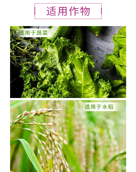 纯大豆发酵复合微生物菌剂-金余_04.jpg