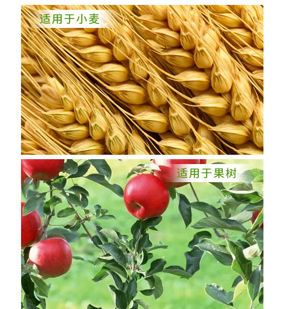 纯大豆发酵复合微生物菌剂-金余_05.jpg