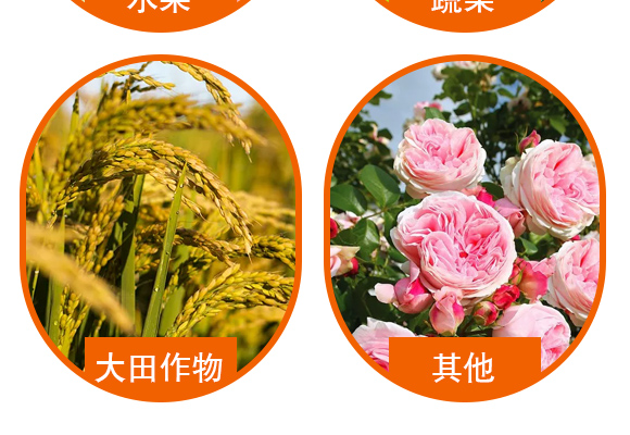 纾烽吀浜屾阿閽?閭︿繚浼犲-閭︿繚鑲ヤ笟_05.jpg 纾烽吀浜屾阿閽?閭︿繚浼犲-閭︿繚鑲ヤ笟_05.jpg