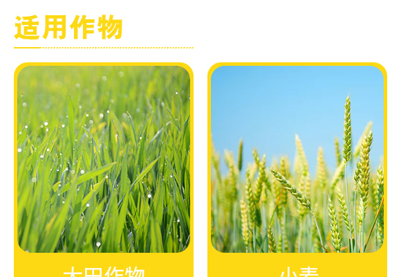 5亿微生物菌剂-神赐?盛大生态_05.jpg