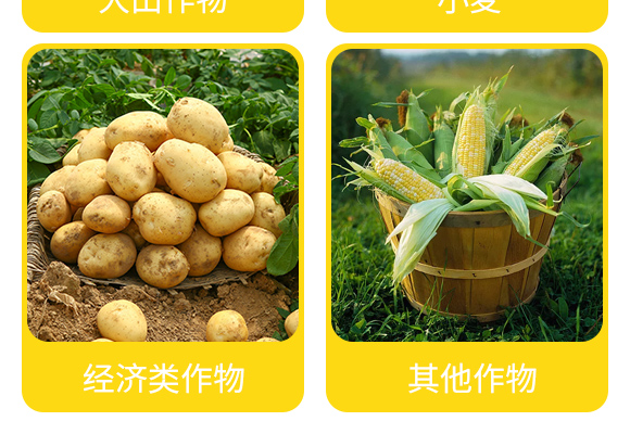 5亿微生物菌剂-神赐?盛大生态_06.jpg