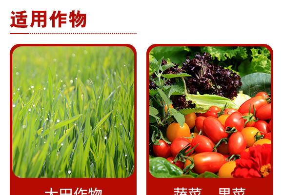 澶嶅悎寰敓鐗╄偉鏂?绗竴鏉慱05.jpg 澶嶅悎寰敓鐗╄偉鏂?绗竴鏉慱05.jpg