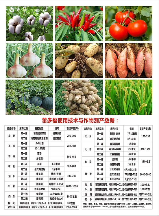 200g̼-׶ร-ũʵҵ
