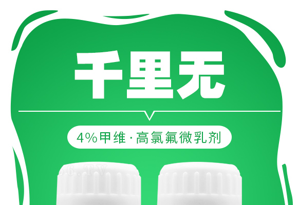 4%鐢茬淮路楂樻隘姘熷井涔冲墏-鍗冮噷鏃燺01.jpg 4%鐢茬淮路楂樻隘姘熷井涔冲墏-鍗冮噷鏃燺01.jpg