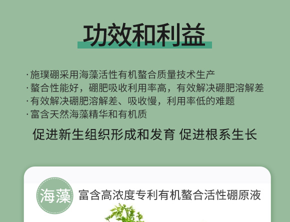 鍩冨強鑹炬牸娉板厠鍥介檯鍐滀笟寮鍙戞妧鏈泦鍥㈡湁闄愬叕鍙?_04.jpg 鍩冨強鑹炬牸娉板厠鍥介檯鍐滀笟寮鍙戞妧鏈泦鍥㈡湁闄愬叕鍙?_04.jpg