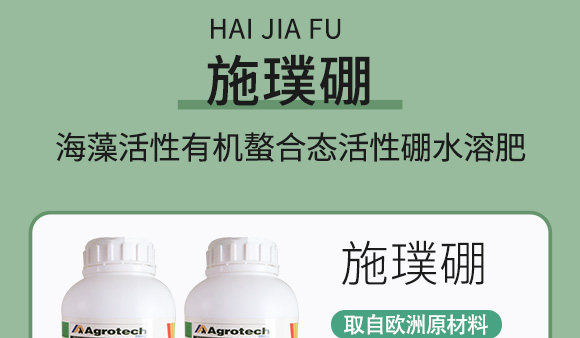 鍩冨強鑹炬牸娉板厠鍥介檯鍐滀笟寮鍙戞妧鏈泦鍥㈡湁闄愬叕鍙?_06.jpg 鍩冨強鑹炬牸娉板厠鍥介檯鍐滀笟寮鍙戞妧鏈泦鍥㈡湁闄愬叕鍙?_06.jpg